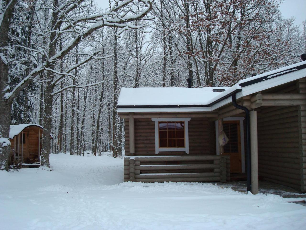 Nelijaerve Holiday Centre Aegviidu Kültér fotó